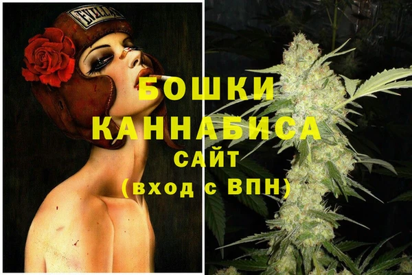 дживик Ельня