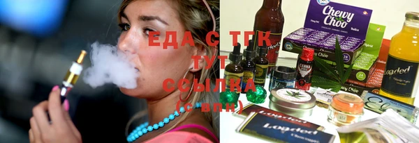 дживик Ельня