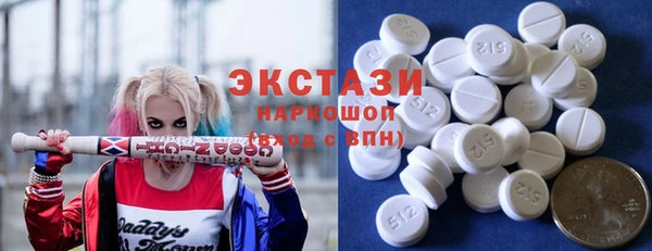 дживик Ельня