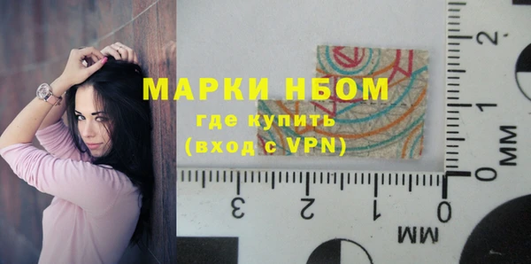 дживик Ельня