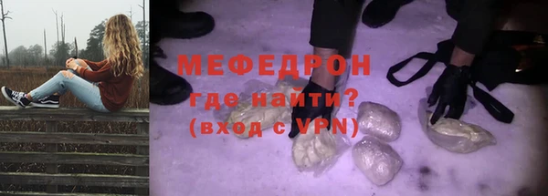 дживик Ельня