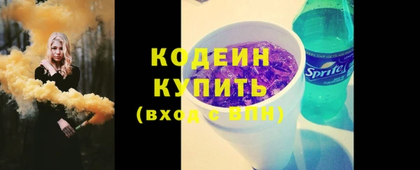 мдпв Елабуга