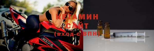 дживик Ельня