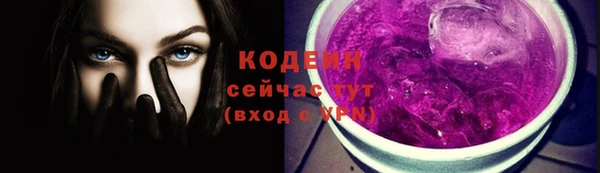 мдпв Елабуга