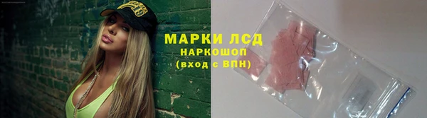 дживик Ельня