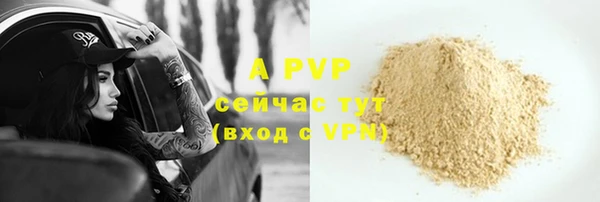 мдпв Елабуга