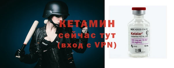 дживик Ельня