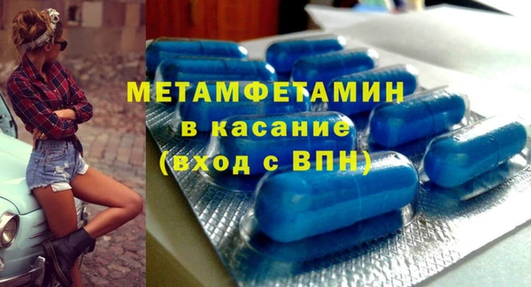 дживик Ельня
