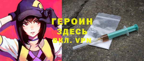 дживик Ельня