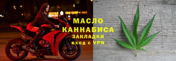 дживик Ельня