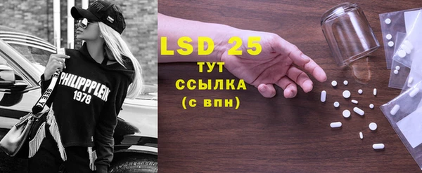 мдпв Елабуга
