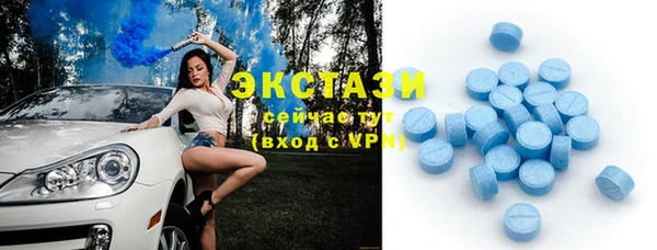 мдпв Елабуга