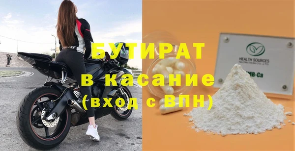 дживик Ельня