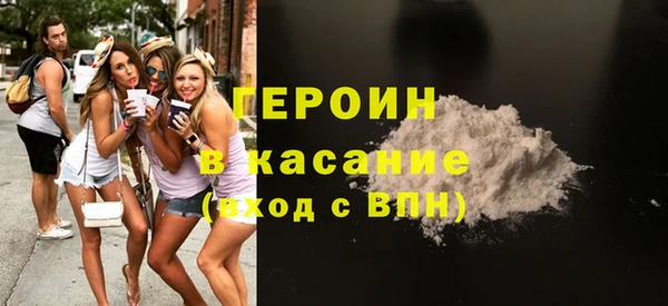 дживик Ельня