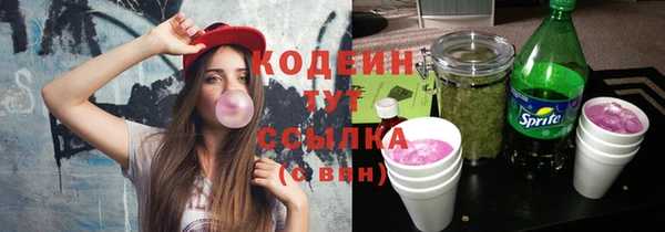 мдпв Елабуга
