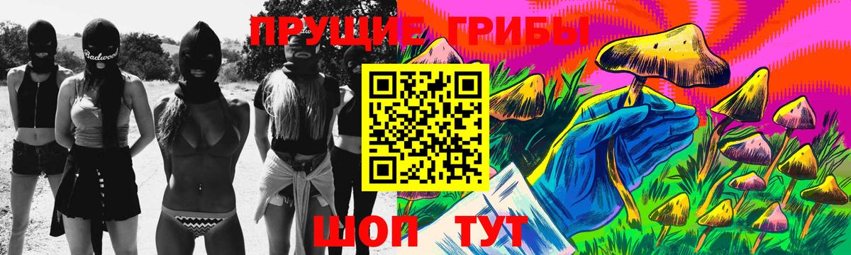 Славгород  Псилоцибиновые грибы MAGIC MUSHROOMS  Вход с VPN  Галлюциногенные грибы Psilocybine cubensis 