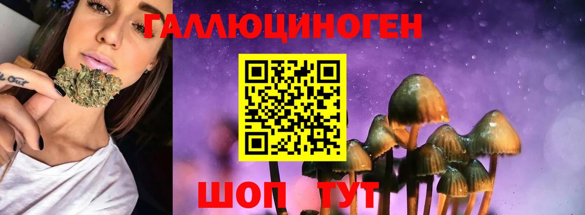 Псилоцибиновые грибы Cubensis Славгород