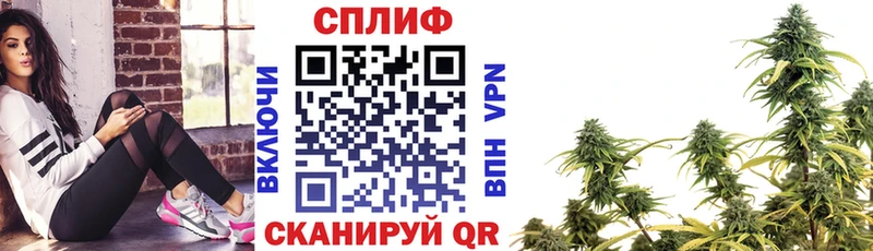 дарнет шоп  Славгород  Конопля Ganja 
